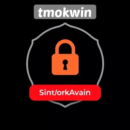 Tinjauan Mendalam Tentang Keamanan Situs Tmokwin